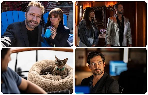 AXN-Wild-Cards-serie-crimen-investigacion
