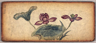 Tibetan album lotus flowers