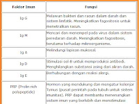 GRANULOMA - SISTEM IMMUN