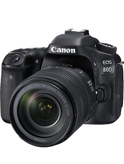 Canon EOS 80D 24.2MP Digital SLR Camera (Black) + EF-S 18-135mm f/3.5-5.6 Image Stabilization USM Lens Kit + 16GB Memory Card