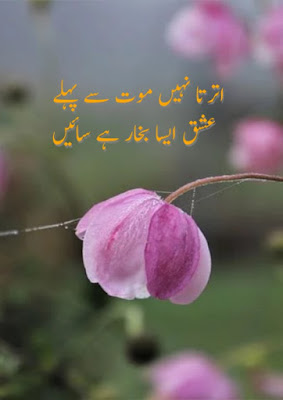 Find Sad Urdu Poetry 2 lines &amp; Pic