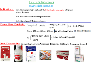 Les Antibiotiques 