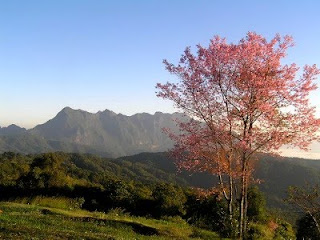 Doi Mae Taman - Chiang Mai