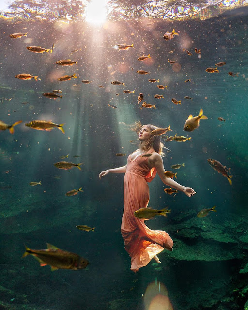 Under the Surface | Underwater Photography with Lexi Laine