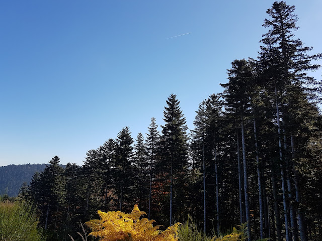 Les Monts de la Madeleine