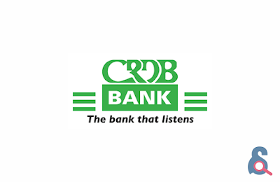 Job Opportunity at CRDB Bank Plc - Internal Audit Specialist: Data Analytics