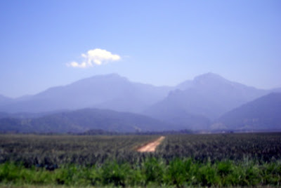 Mountains, La Ceiba, Honduras