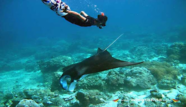  Indonesia ialah salah satu tujuan scuba diving terbaik di dunia 20 SCUBA DIVING TERBAIK DI INDONESIA