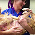 See How A Rescue Dog’s Journey To The Rainbow Bridge Saved Another
Dog’s Life
