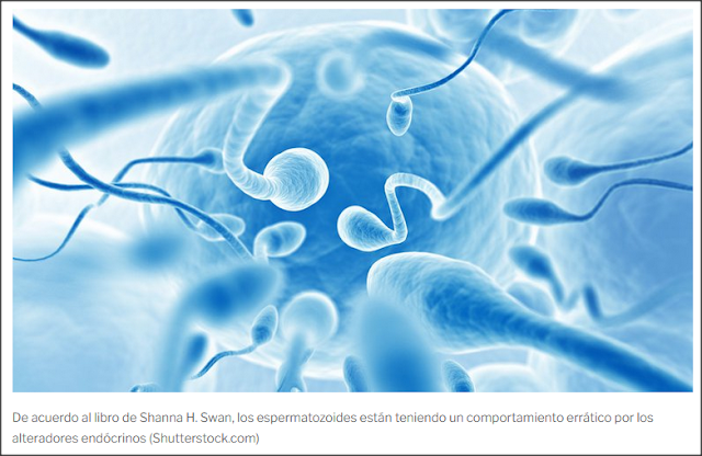 Alerta: qué nos están diciendo nuestros espermatozoides sobre el futuro de la raza humana 