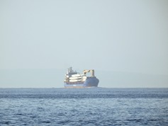 DSCN3541