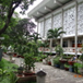 View album