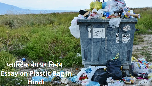 प्लास्टिक बैग पर निबंध  Essay on Plastic Bag in Hindi