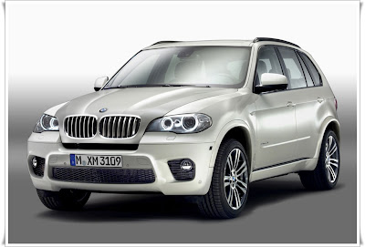 2011 BMW X5 M Sport Image