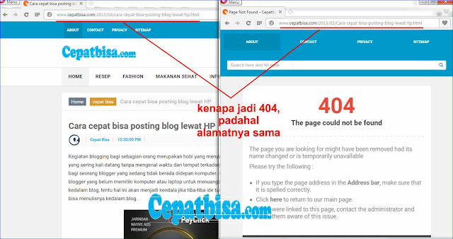 Cara mudah Cek link error di Blog