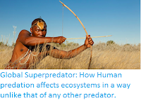 http://sciencythoughts.blogspot.com/2015/08/global-superpredator-how-human.html