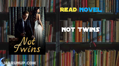 Read Not Twins Novel Full Episode