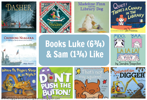 http://happinessinthecrapiness.blogspot.com/2019/12/books-luke-6-and-sam-1-like.html