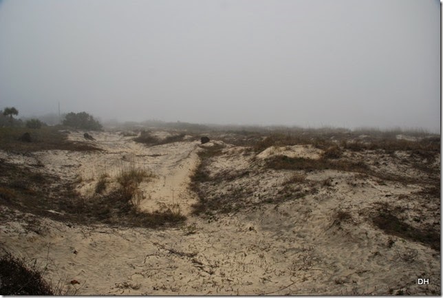 03-20-15 C Jekyll Island (87)