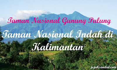 taman nasional gunung palung