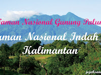 Taman Nasional Gunung Palung di Kalimantan