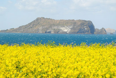 Pulau Jeju, Korea Selatan