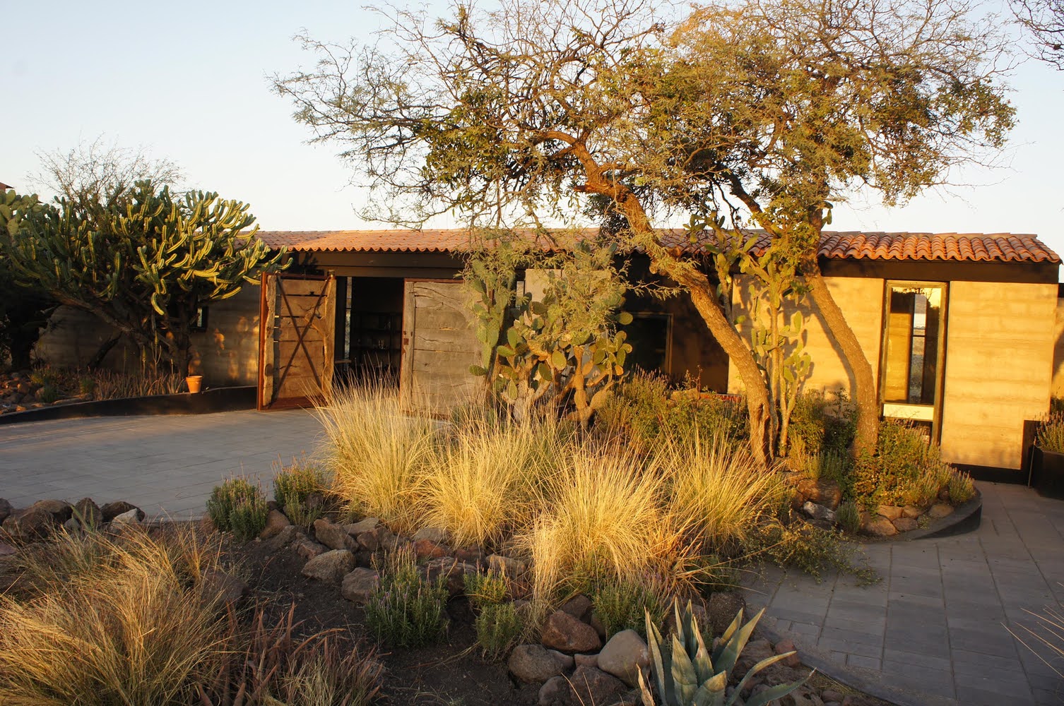 Studio House Sabinos - Juan Carlos Loyo Arquitectura