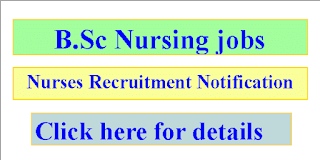 B.Sc. Nursing Jobs in Andhra Pradesh