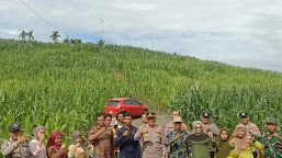 Dukung Program Ketahanan Pangan Nasional Kapolsek Linggabayu Akp Parsaulian Ritonga Laksanakan Panen Raya Jagung