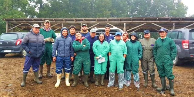 Curso “Enfermero de Ganado Bovino”