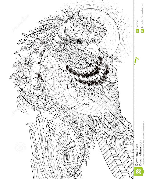 Beautiful Sparrow Adult Coloring Page Stock Illustration Image Throughout  Brilliant Turtle Coloring Pages
