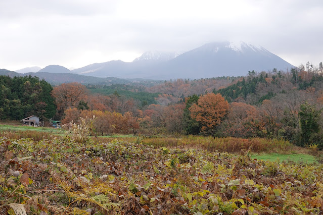 鳥取県西伯郡大山町赤松 付近の眺望