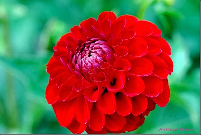 8 DSC_0608x1