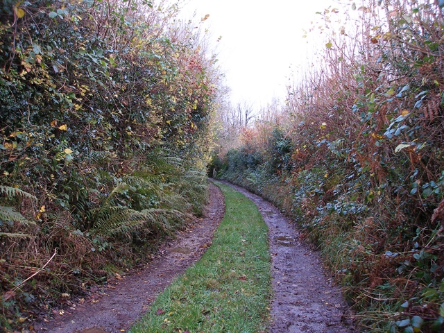 22nd_november_2009