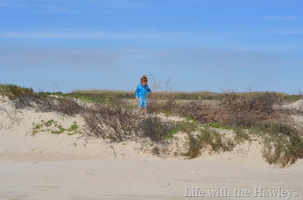 DSC_0055 DSC_0055