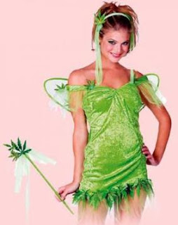 fancy dress fairy costumes