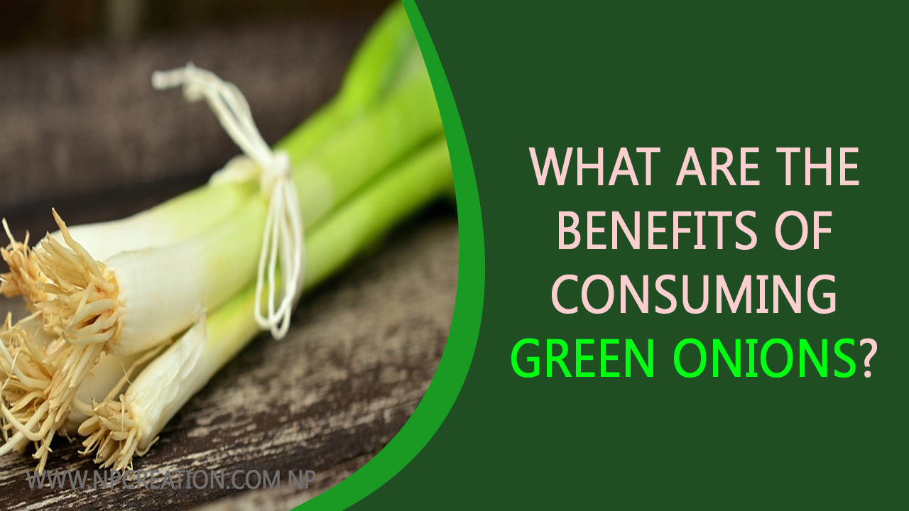 What are the benefits of consuming green onions?