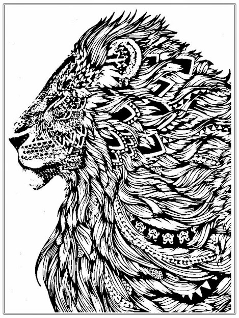 Adults Colouring Book Pages  Adult Coloring Book Lion