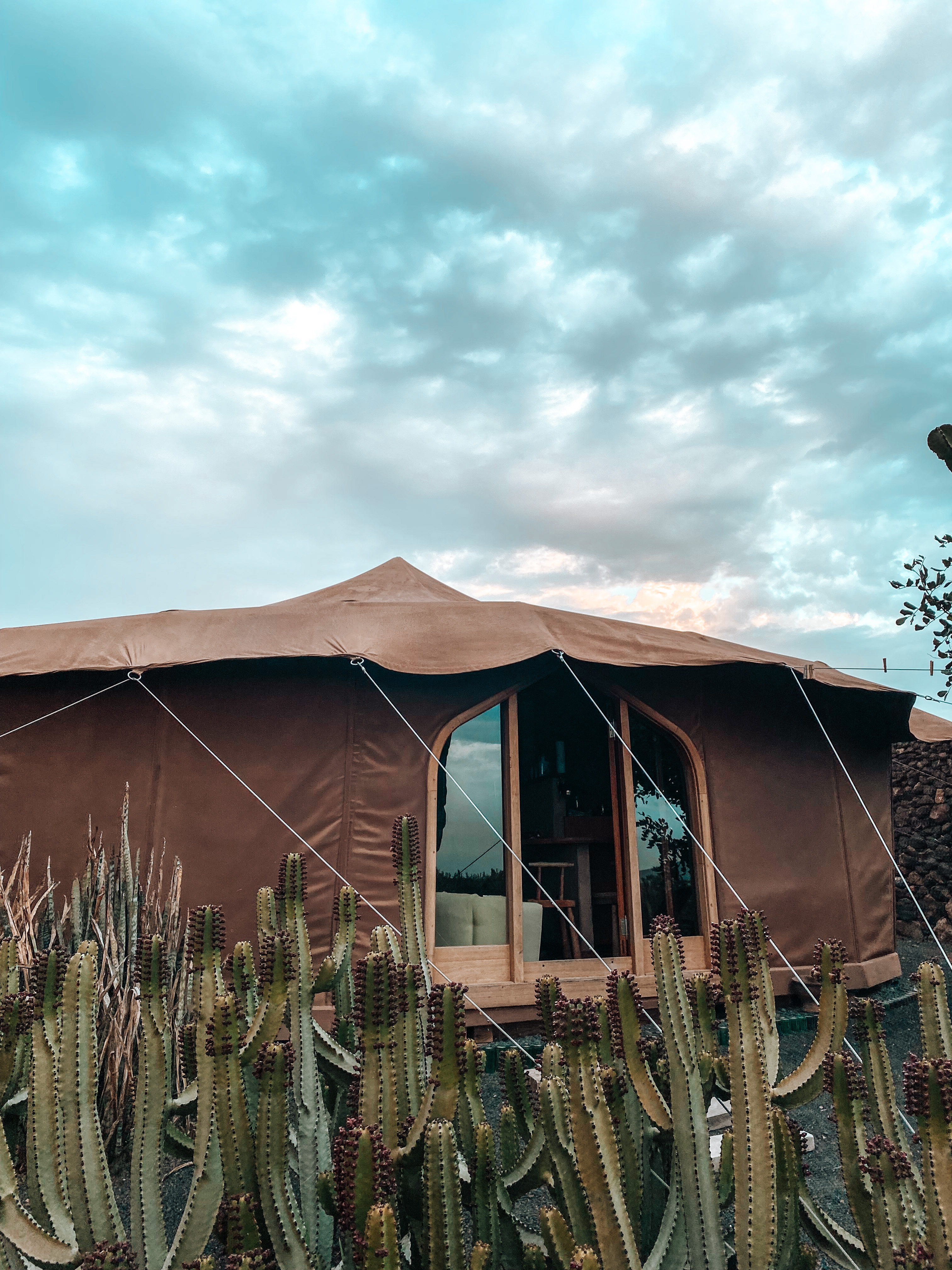 cactus au premier plan et la tente du logement insolite jaima teseguite à lanzarote avec les nuages en arrière plan