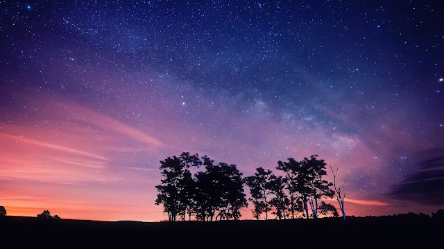 Purple Night Sky Stars Trees Silhouettes HD Wallpaper