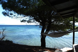 The area.