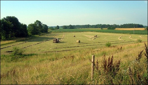 baling hay