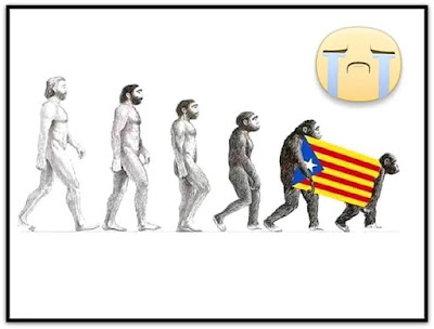 Evolución del catalanista según Darwin