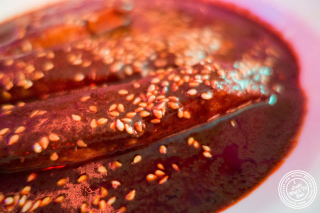 image of mole poblano at El Maguey Y La Tuna on the Lower East Side, NYC, New York