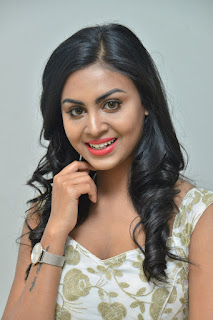 Meghla Mukta at Sakalakala Vallabhudu Movie Press Meet