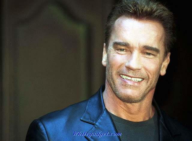 Arnold Schwarzenegger Wallpaper,hollywood  celebrities hd wallpaper,hollywood celebrities photos,hollywood celebrities hd pictures,cool wallpapers hd