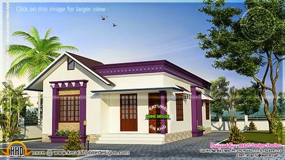 Sloping roof single floor home