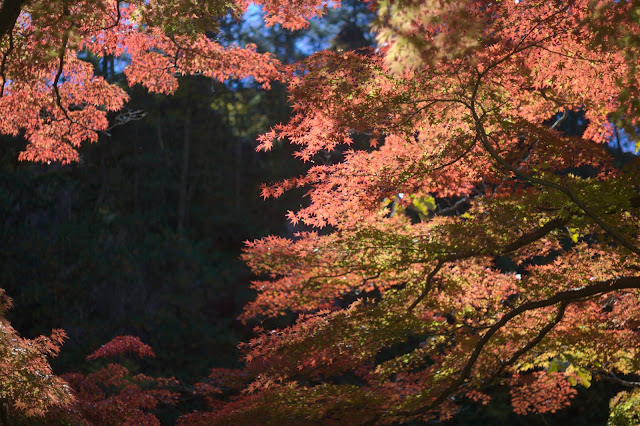 昇仙峡紅葉