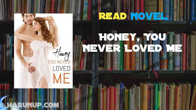 Read Honey, You Never Loved Me Novel Full Episode