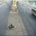Dangres Accident But Biker r Safe.